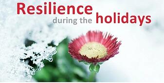 Holiday Resilience