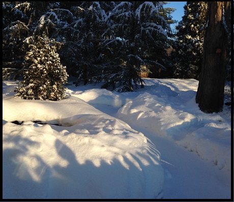 Beautiful Post Storm Resilient